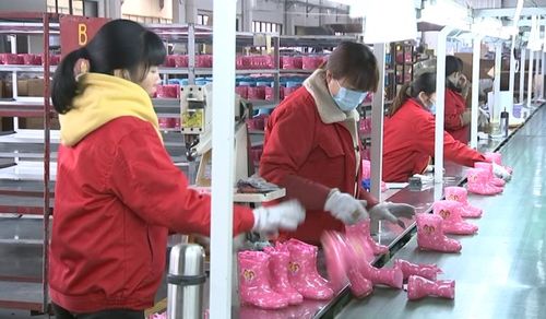 金華一季度新增 品字標 企業數浙江省第一